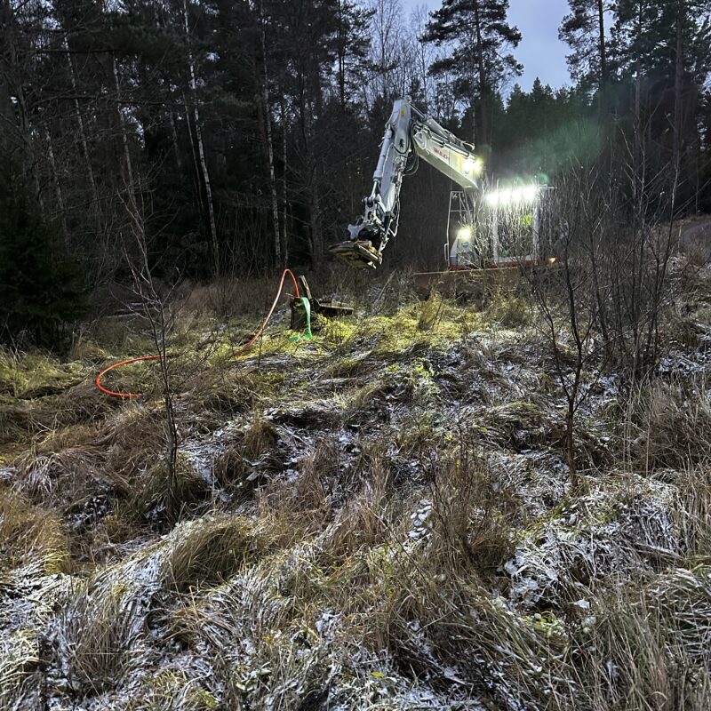 Photo 2023-11-15 15 43 21